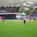 Cricket New Zealand bats 1.jpg